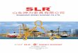 Lifting rigging and Chain fittings  from Shandong Shenli Rigging Co.,Ltd