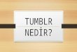 tumblr nedir?