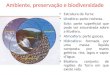 01 ambiente-preservação-e-biodiversidade-versão-2016