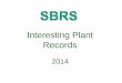 Interesting plant records 2014