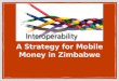 A Strategy for Mobile Money in Zimbabwe