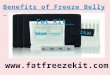 Benefits of freeze belly fat kit
