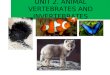 Unit 2. vertebrates and invertebrates animals