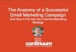 The Anatomy of a Successful Email Marketing Campaign