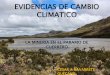 Evidencias del Cambio climatico "La mineria en el Paramo de Guerrero"