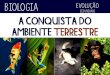 Evolu§£o dos vertebrados - Conquista do ambiente terrestre - Biologia