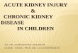 Acute kidney injury and chronic kidney disease in children