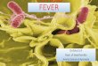 Typhoid fever, Eteric fever,