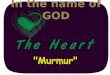 heart murmur (heart extra sounds)