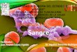 Sangre y sus componentes (Eritrocitos, Leucocitos, y plaquetas)  Histología y Fisiologia