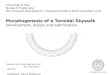 Morphogenesis of a toroidal Skywalk. Development, design and optimization