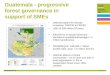 Guatemala - progressive forest governance in support of small- and medium-sized enterprises (SMEs)
