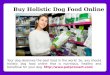 Buy holistic dog food online