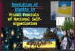 Revolution of Dignity in Ukraine: Visual Fractals of National Self-organization