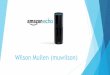 muwilson Amazon Echo Company Report