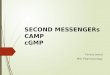 Second messengers cAMP and cGMP
