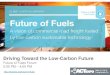 BSR - Future of Fuels - Driving Toward Low-Carbon Future - 20160505