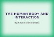 The human body and interaction (allahu akbar) xd