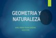 Geometria y naturaleza