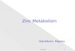 METABOLISM OF ZINC, MAGNESIUM & ELECTROLYTES