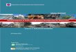 The Development of Public Transportation Strategic Plan for Metro Cebu Volume 1: EXECUTIVE SUMMARY