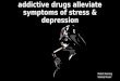 Stress Physiology_Addiction Presentation
