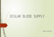 Ocular blood supply