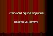 Cervical Spine injuries by rakesh(presented on 11.11.10)