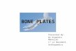 Bone plate 2