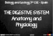The Digestive System - Anatomy and Physiology - Biology and Geology 3rd CSE - Spain