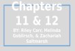 Chrd 451 chapters 11 & 12
