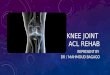 ACL anterior crucitae ligament anamtomy and physical therapy