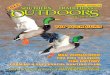 Southern Traditions Outdoors - November/December 2015