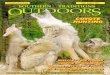 Southern Traditions Outdoors July - August 2014