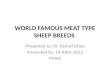 World famous meat type sheep breeds