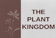 Plants Kingdom