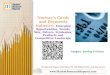 Norway's Cards and Payments Industry: Emerging Opportunities, Trends, Size, Drivers, Strategies, Products and Competitive Landscape