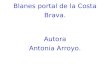 Arroyo antonia presentació_copetic2