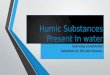 Humic Substances in water
