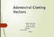 Adenoviral cloning vectors