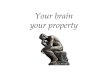 Brain - Your property