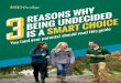 Free Guide: Why It's Smart to Enter College as Undecided