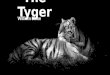 The tyger by William Wordsworth