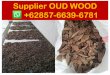 Agarwood chips , Supplier +62 857-6639-6781 (WhatsApp), agarwood suppliers