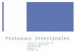 Curso de Microbiología - 26 - Protozoos intestinales