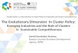 TCI 2015 The Evolutionary Dimension  in Cluster Policy