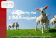Bioscurity for Small Ruminants