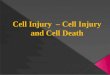 Cell injury  – cell injury and cell death