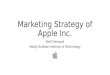 Marketing strategy of apple inc