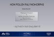 49 ren+®e enevold_non pollen palynomorphs